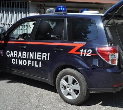 Cerignola, maxi blitz dei Carabinieri e reparti speciali per sequestri, arresti e repertati molti DNA