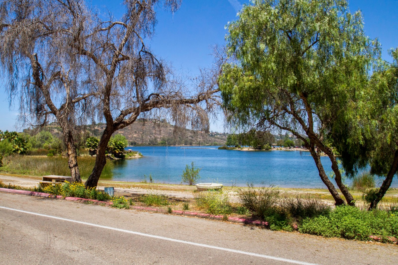 NEW LISTING Walk to Mission Trails Lake Murray