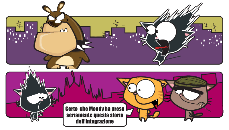 cat-moody-013-cat-moody-c-vita-sui-tetti-di-milano