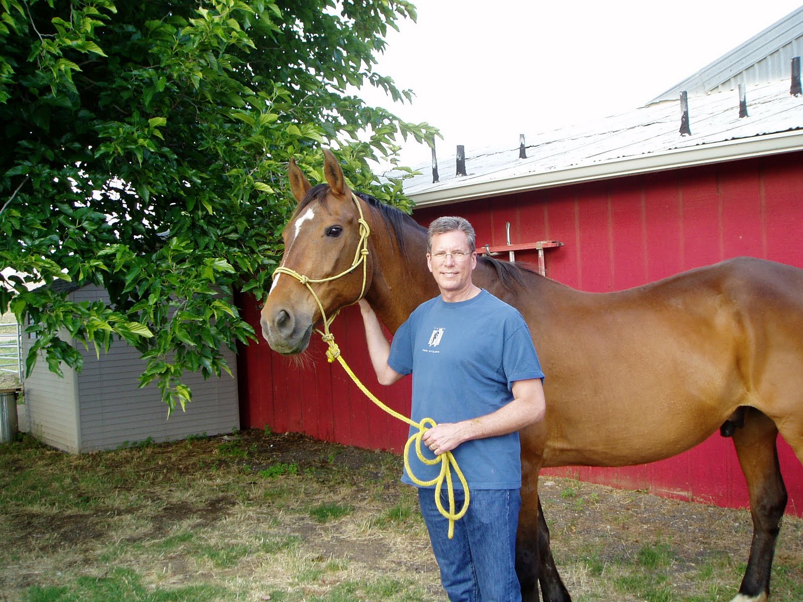 Lone Oak Rescue Horse Rescue & Rehabilitation Lordy's new home....