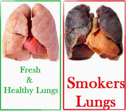 how to clean your lungs from cigarette how to clean your lungs from cigarette