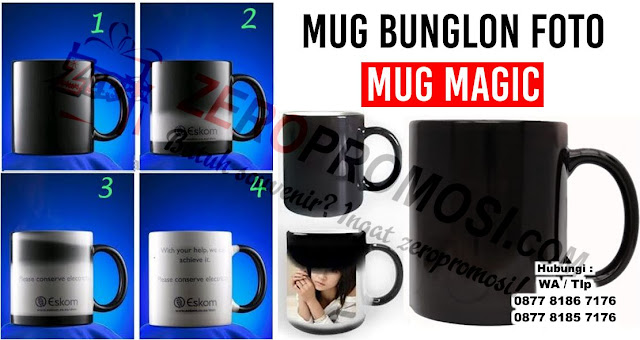 Jual Mug Bunglon Foto Sablon digital / Mug Magic