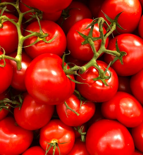 Tomatoes in Ayurveda(आयुर्वेद में टमाटर)