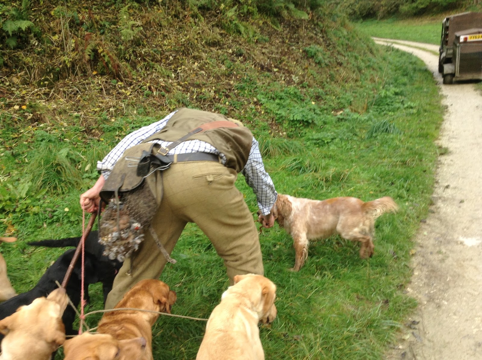Cuckavalda Gundogs North Yorkshire November 2015