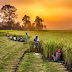 condition of farmers in india in hindi why farmers are protesting in india