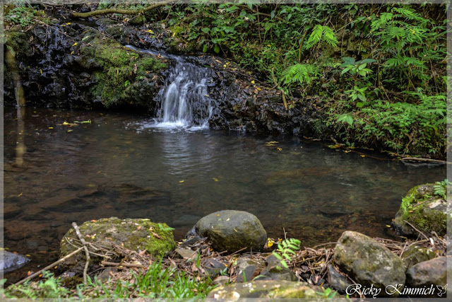 RiCKy Salto Arco Iris