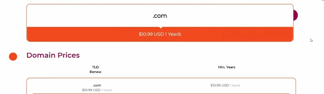 domain name pricing for the wpx hosting