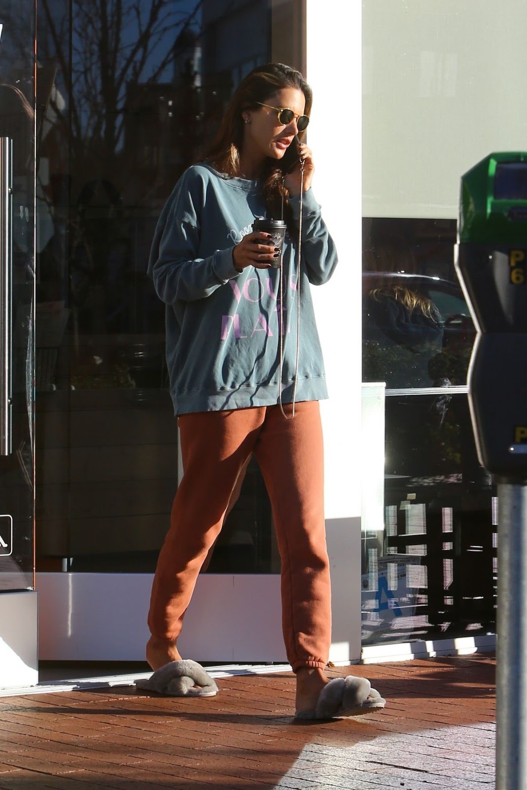 Alessandra Ambrosio Clciks at Sunlife Organics in Pacific Palisades 6