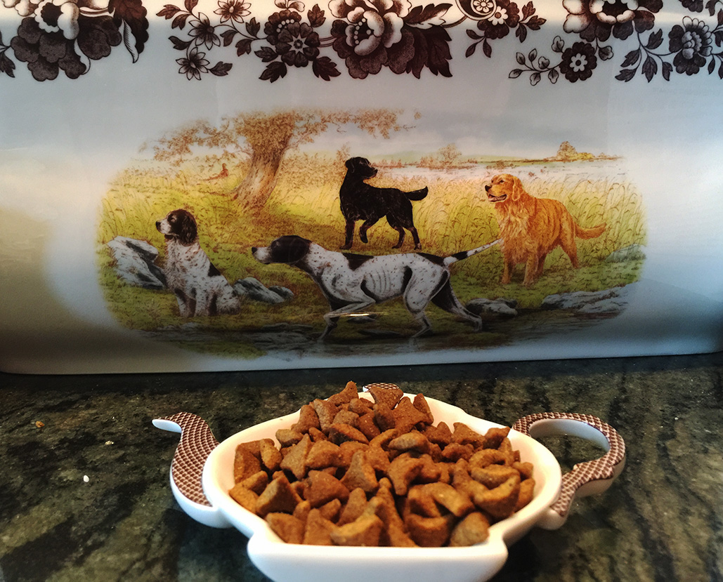 Cats Tales & Reviews Royal Canin Purrfect food for Himalayans!