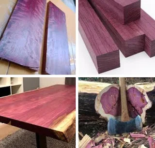 Kelebihan dan kekurangan kayu purple heart