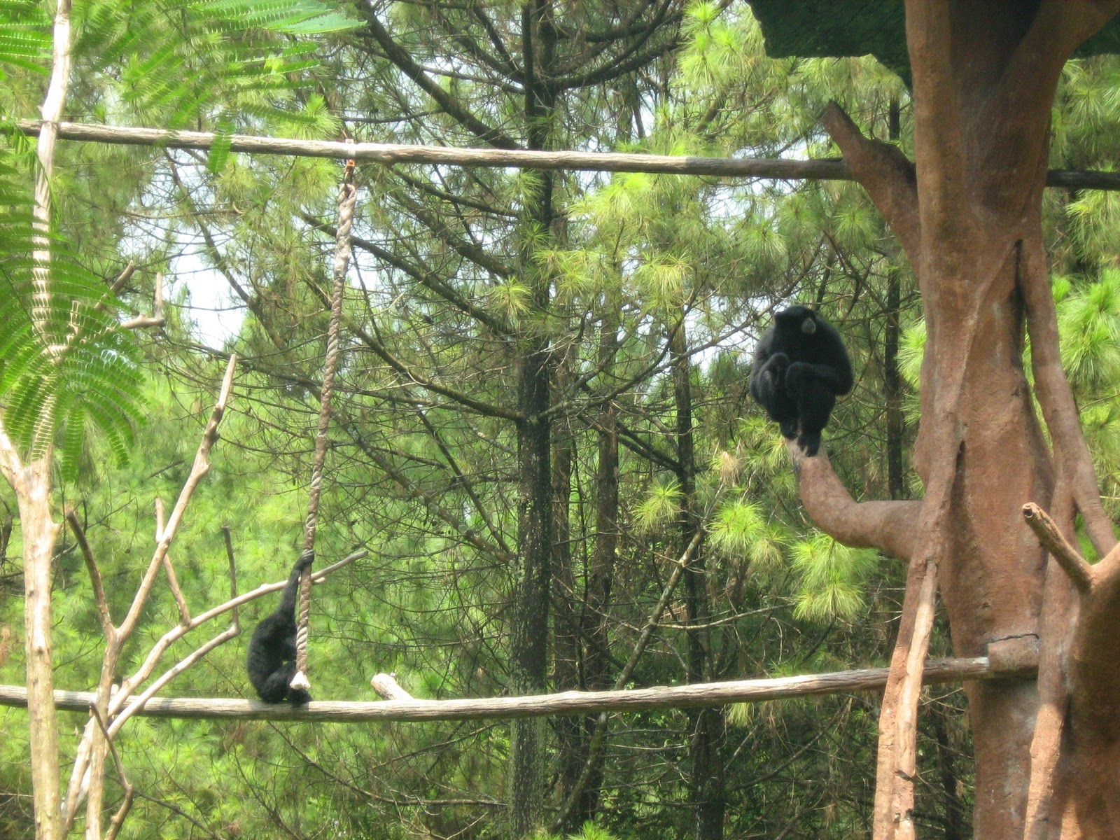 Taman Safari @ Malang, Jatim. | JAF Picture