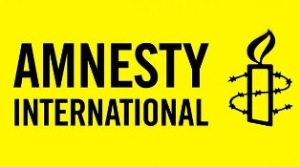 Amnesty International Vacancy: Governance Director - London, UK, United Kingdom