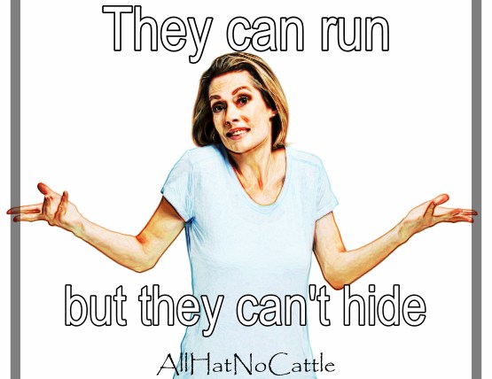 allhatnocattle