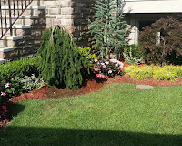 Landscaping Services New York
