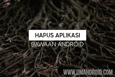 Hapus Aplikasi Bawaan Android Root