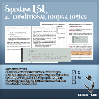 Speaking LSL 04 - Flow Structures & Logics