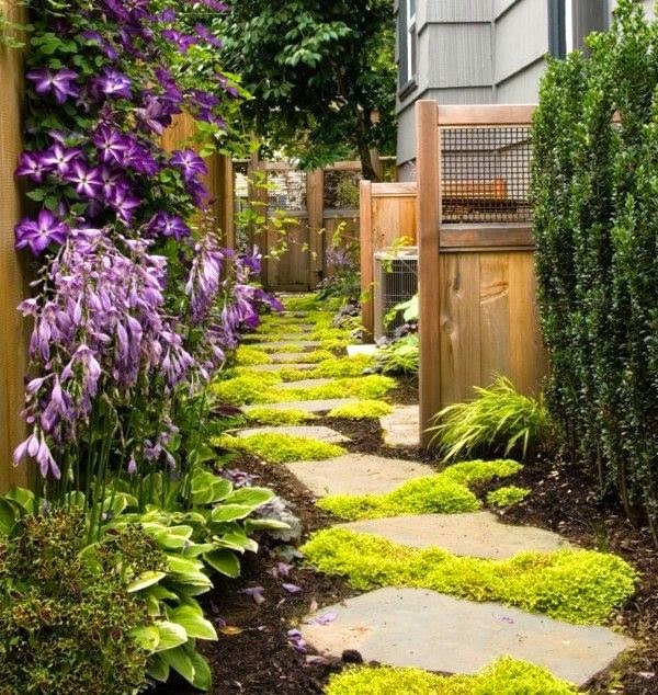 Angela'sBackyardDreams If stepping stones lead gardengoers through