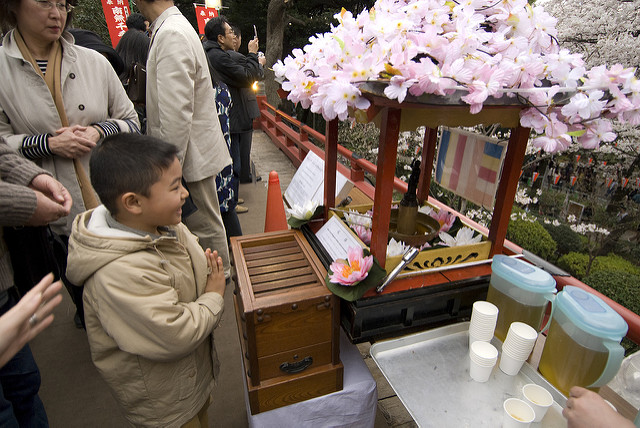 TOT MITES I LLEGENDES: HANA MATSURI
