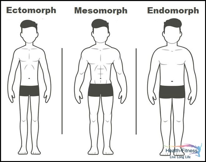 3 Types Of Male Body