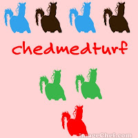 chedmedturf1.com