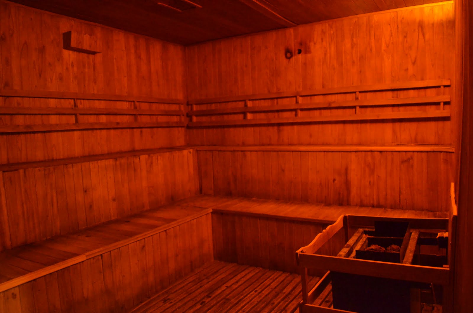 Homo Sapiens Spa Gay SAUNA SECO