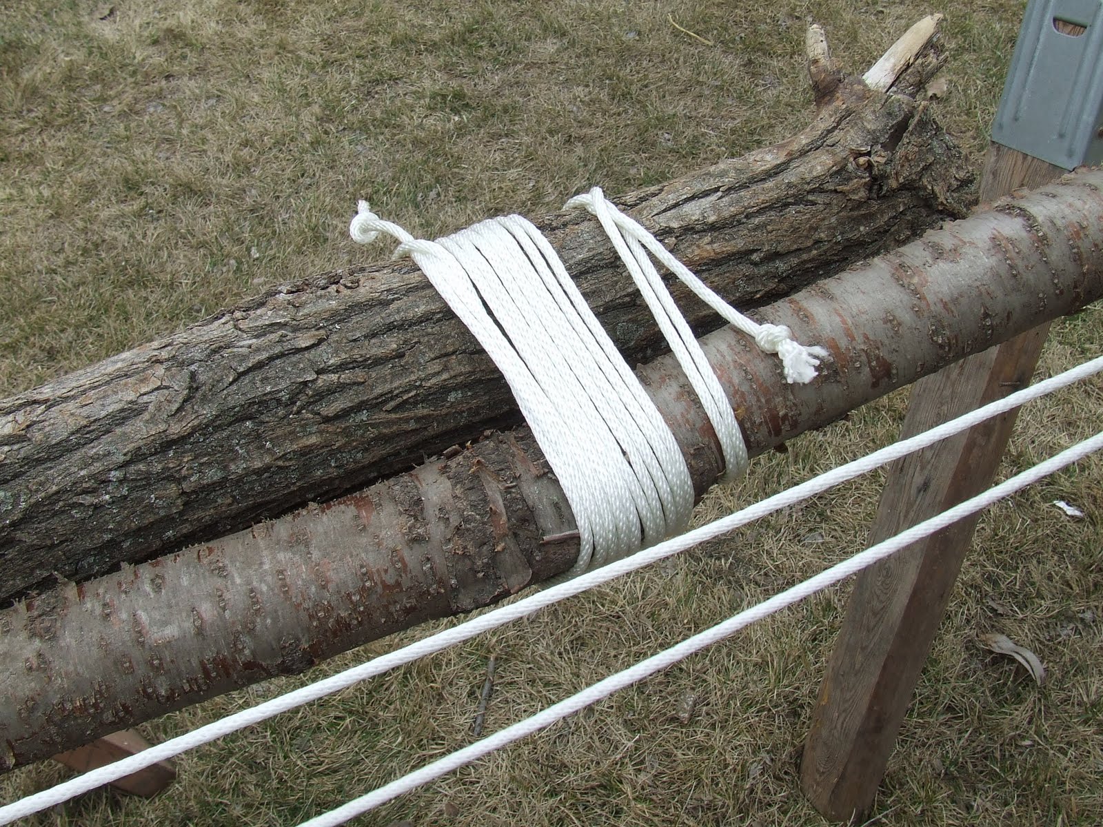 Pioneering Merit Badge Worksheet