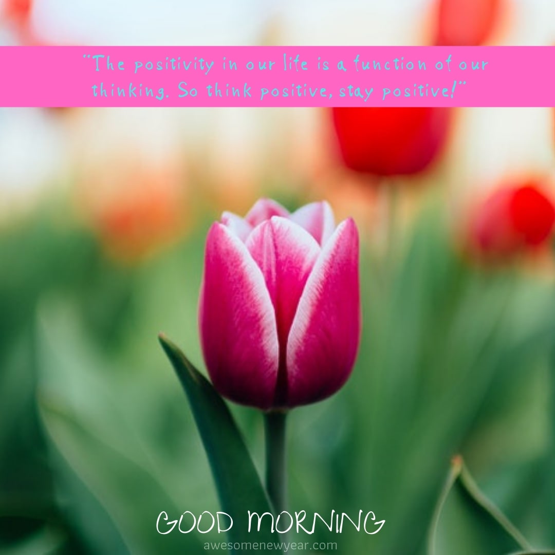 15 Positive Good Morning Thoughts With Beautiful Flowers Images