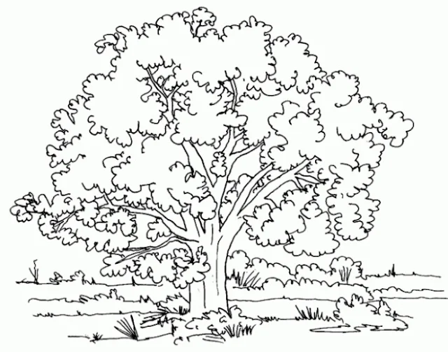 صورة شجرة للتلوين