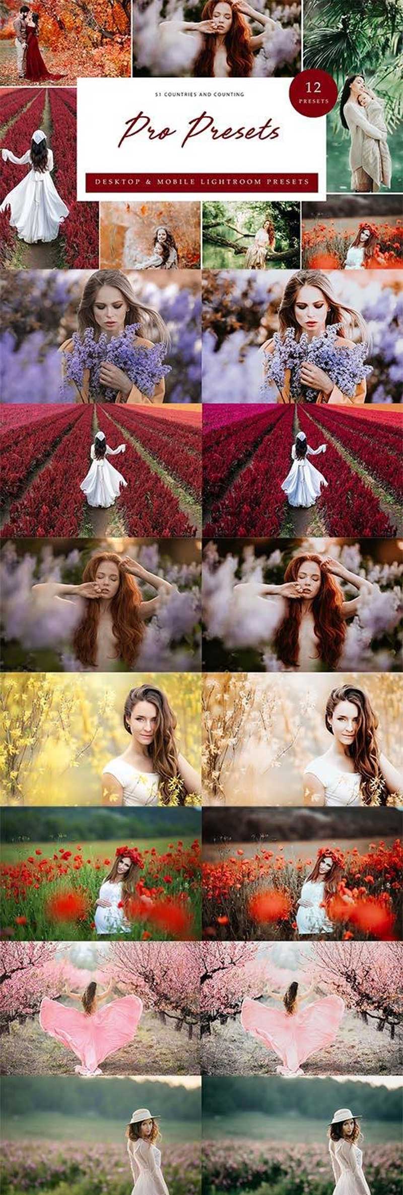 Lightroom Presets - Pro Presets AP5QM86 2 fhgf