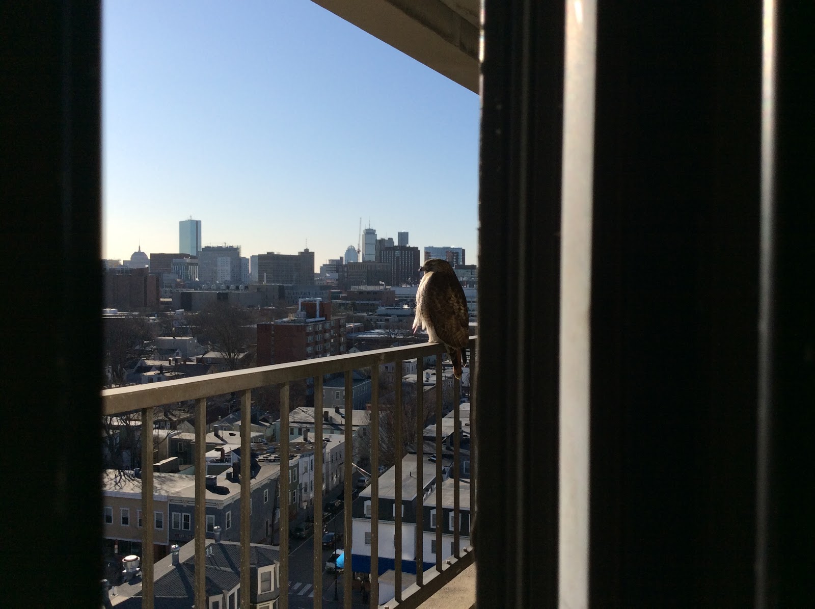 The Estrogen Dilemma The New York Times