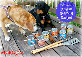 The #Merrick Summer Seasonal Recipes Are Here! Penny & Sophie are ready for a BBQ - is your #BestDogEver ready? #dogfood #rescuedogs ©LapdogCreations