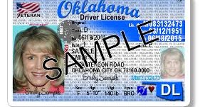 where is dps audit number on paper license where is dps audit number on paper license