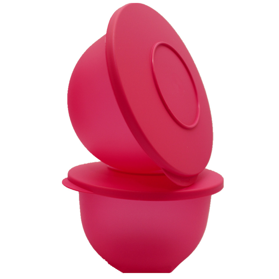 Tupperware Brand MalaysiaTupperware Tupperware LEVEL Pink Airtight