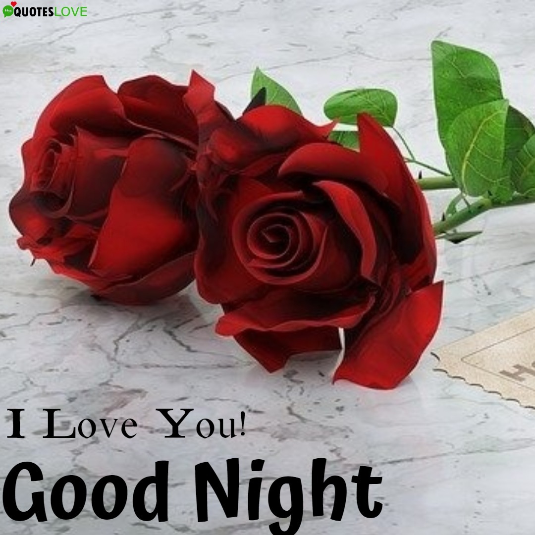 10 Good Night Rose Image