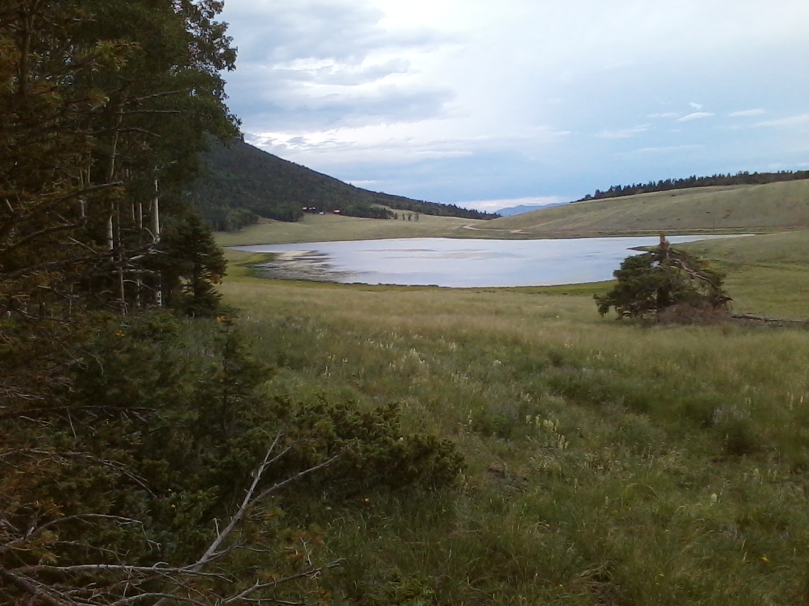 Forbes Park Colorado Information