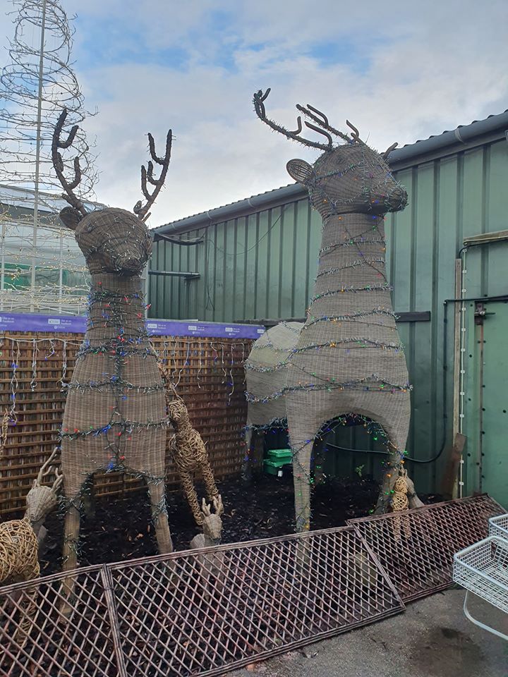 Visiting Santa At Oaktree Garden Centre. Unique Young Mum