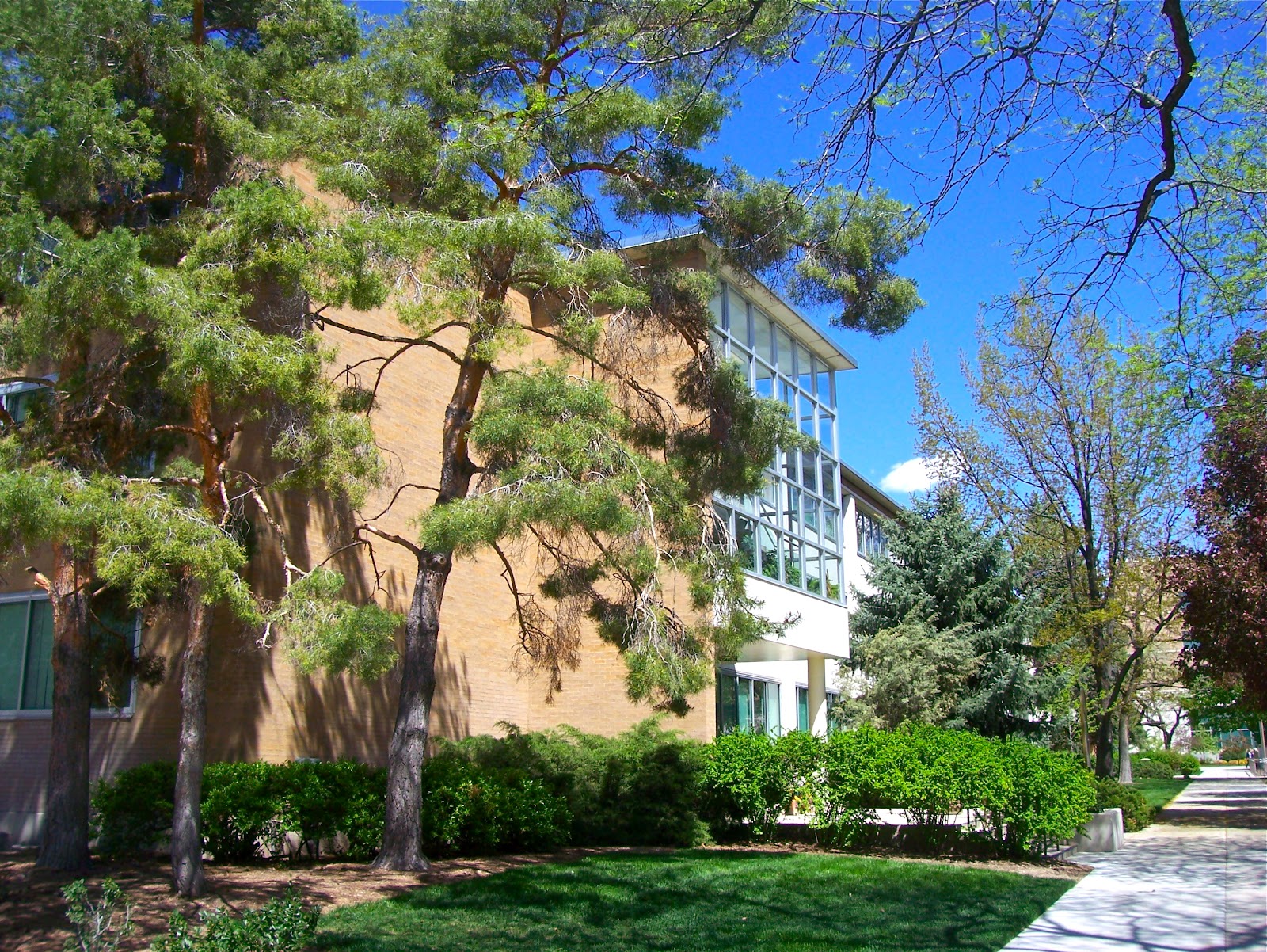 Utah's Present History BYU Now and Then