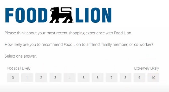food lion survey winners