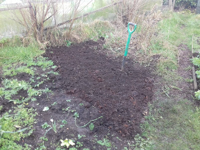 Allotment Growing Beds - Ready for Planting