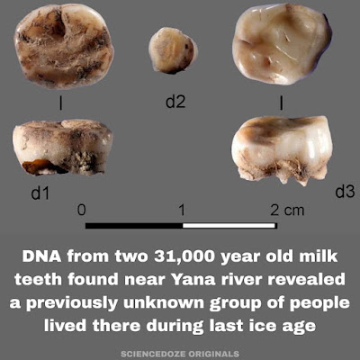 Ice age facts