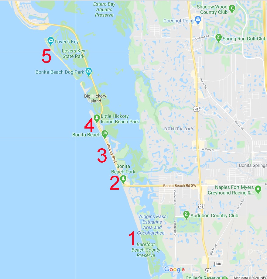 Dreaminations Florida the beautiful - WhatsApp%2BImage%2B2020 05 08%2Bat%2B6.14.38%2BPM 