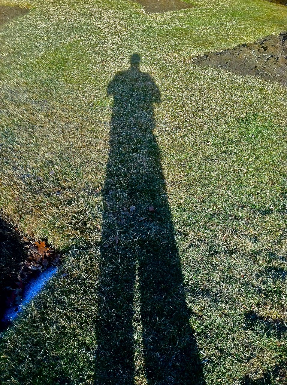 Clyde Hoadley I m Twenty Feet Tall clyde-hoadley-i-m-twenty-feet-tall
