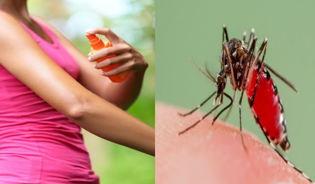 Comment préparer ses propres répulsifs anti-moustiques avec des ingrédients naturels