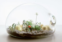 Cómo construir tu propio Terrarium