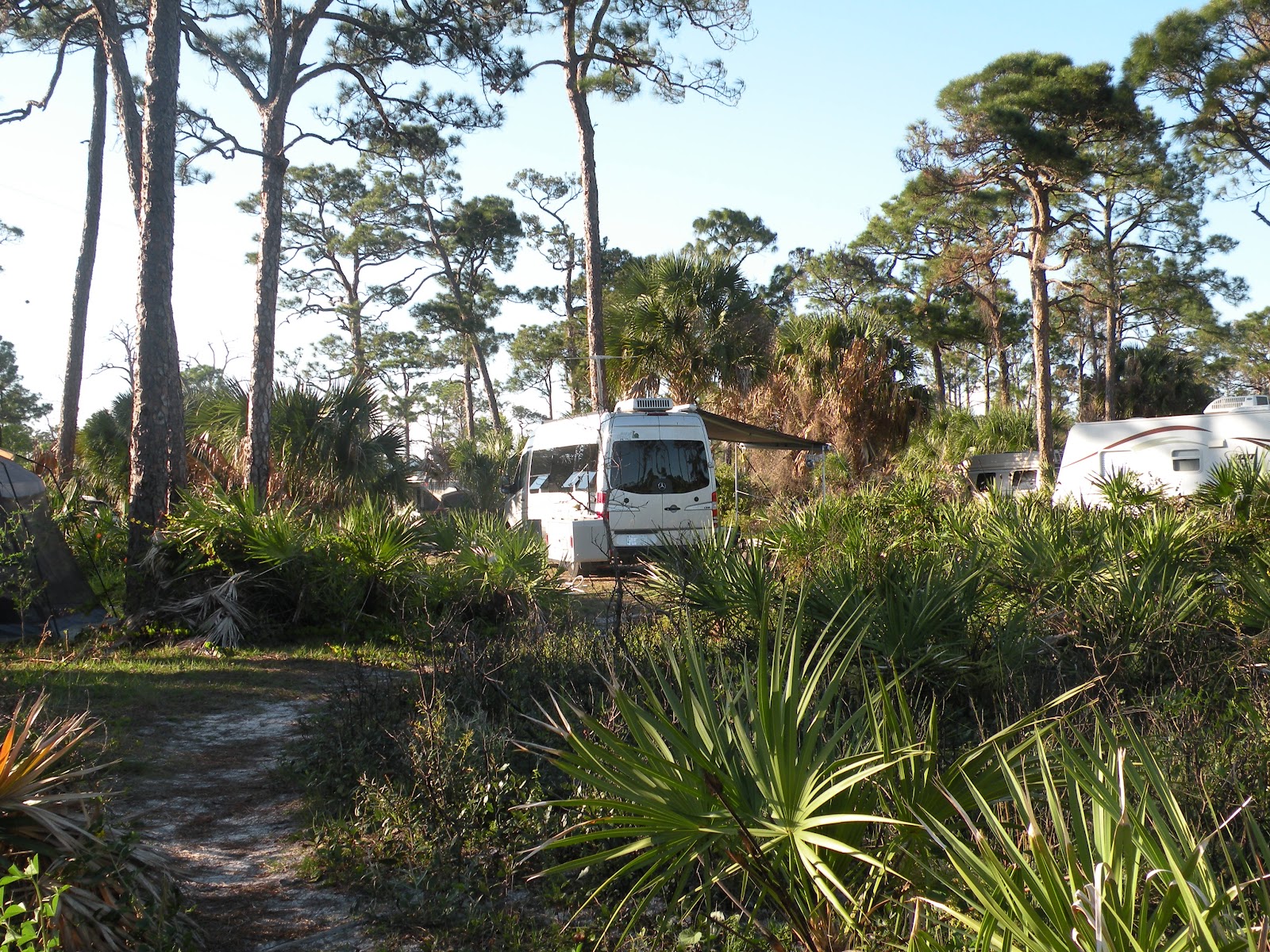 Campignol Jonathan Dickinson State Park