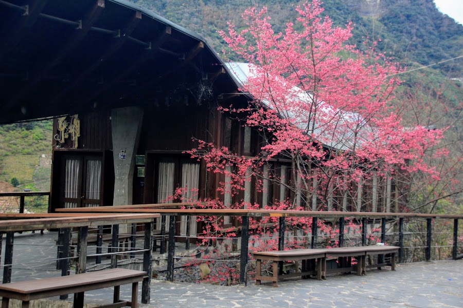 東埔溫泉 東埔停車場 車宿野營 阿舍的精彩生活