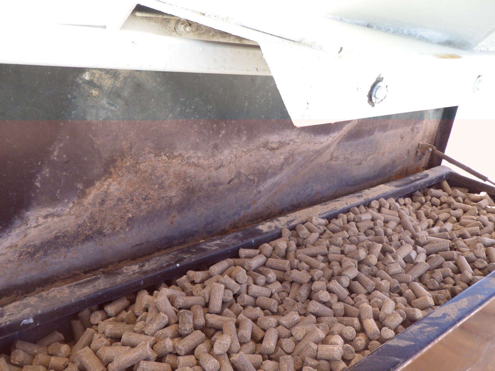 Jake's Ramblings Cake Feeder