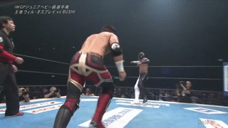 [IMAGE:https://1.bp.blogspot.com/-POo7hSK1xNA/XiIpX-U7QiI/AAAAAAAAJUU/5JDtWhnM6SUpX7a1bmzGbSzkL0hdLILHACLcBGAsYHQ/s1600/Moonsault%2B%252B%2BStep-Up%2BEnzuigiri%2BKick.gif]