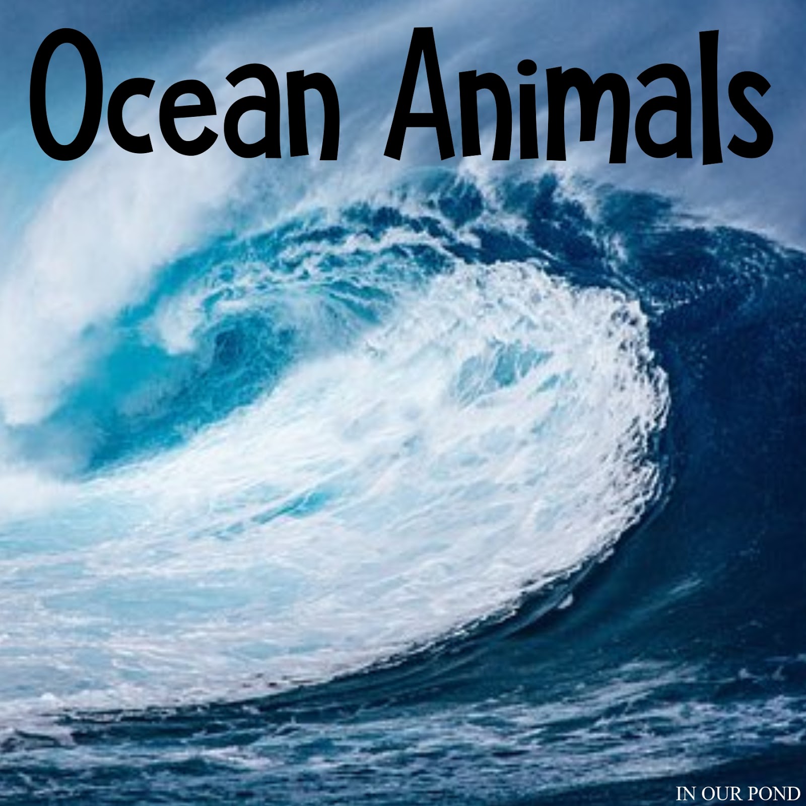 montessori-inspired-ocean-animal-3-part-cards