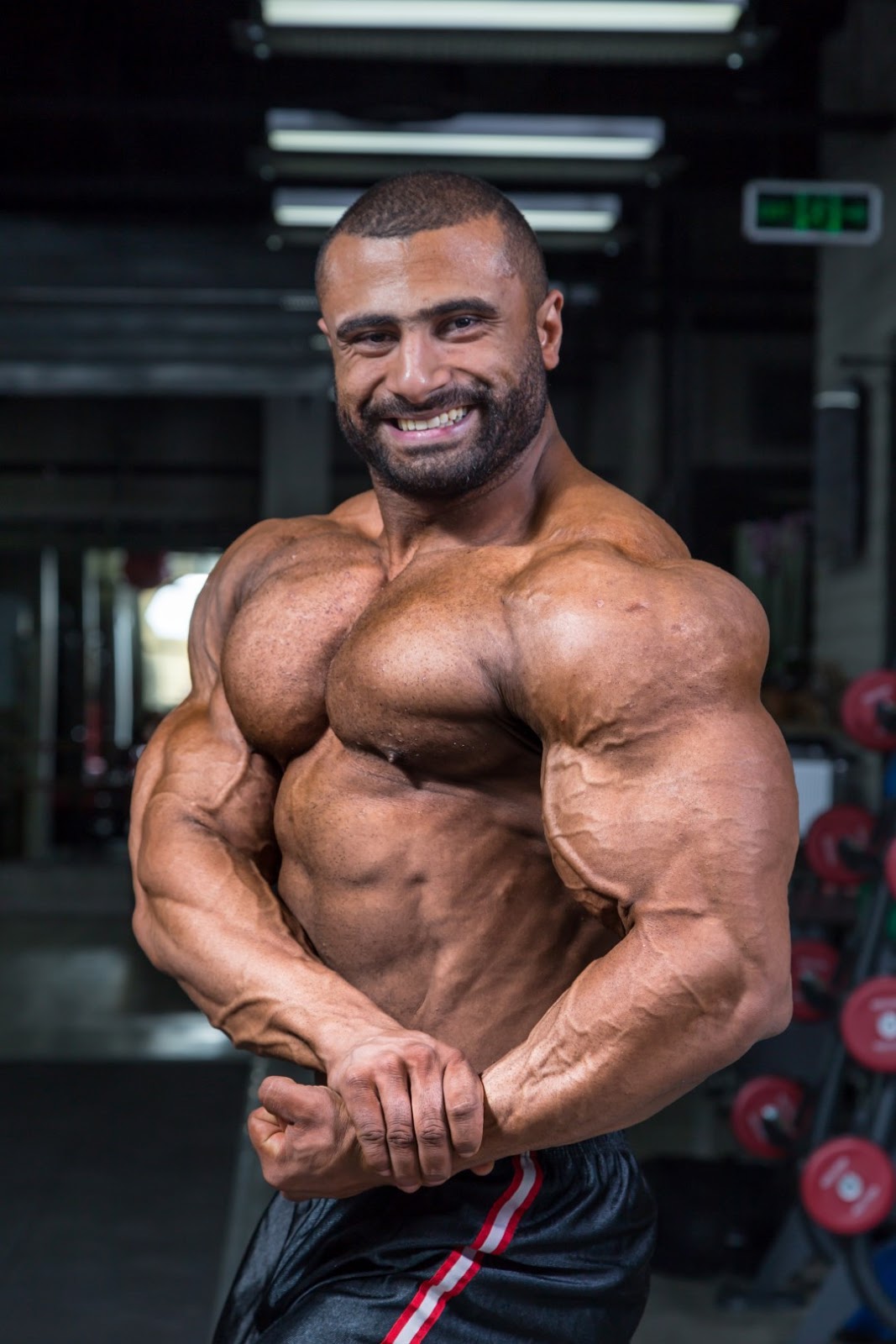 Muscle Lover Egyptian Ifbb Pro Bodybuilder Ahmed Shams